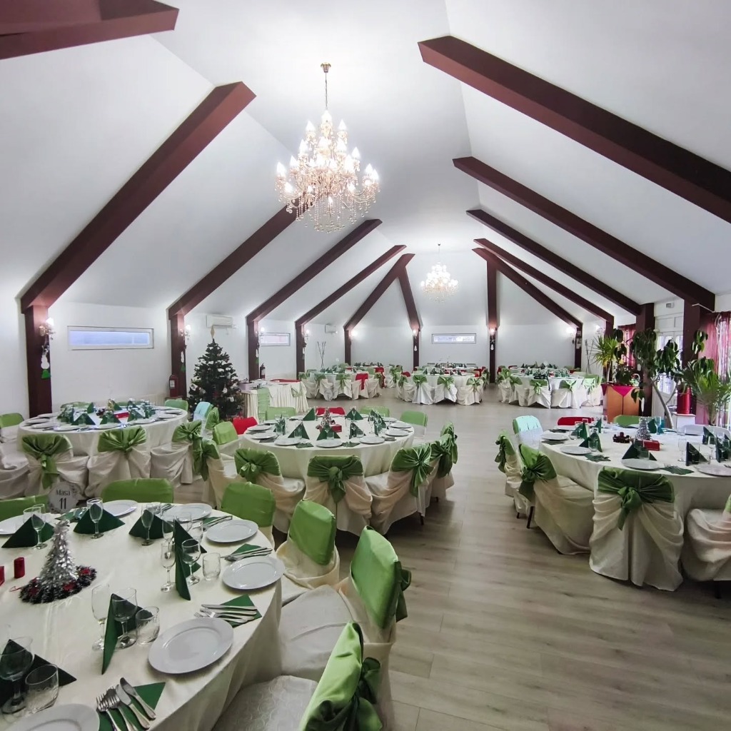 Interior Salon Casa Andrei